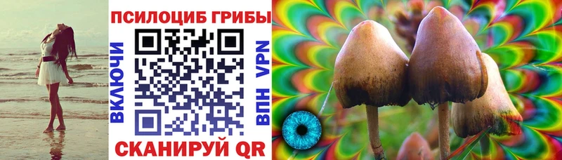 Галлюциногенные грибы Magic Shrooms  гидра маркетплейс  Светлый 
